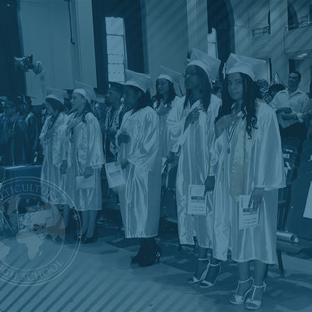 Picture of Multicultural High School Graduates