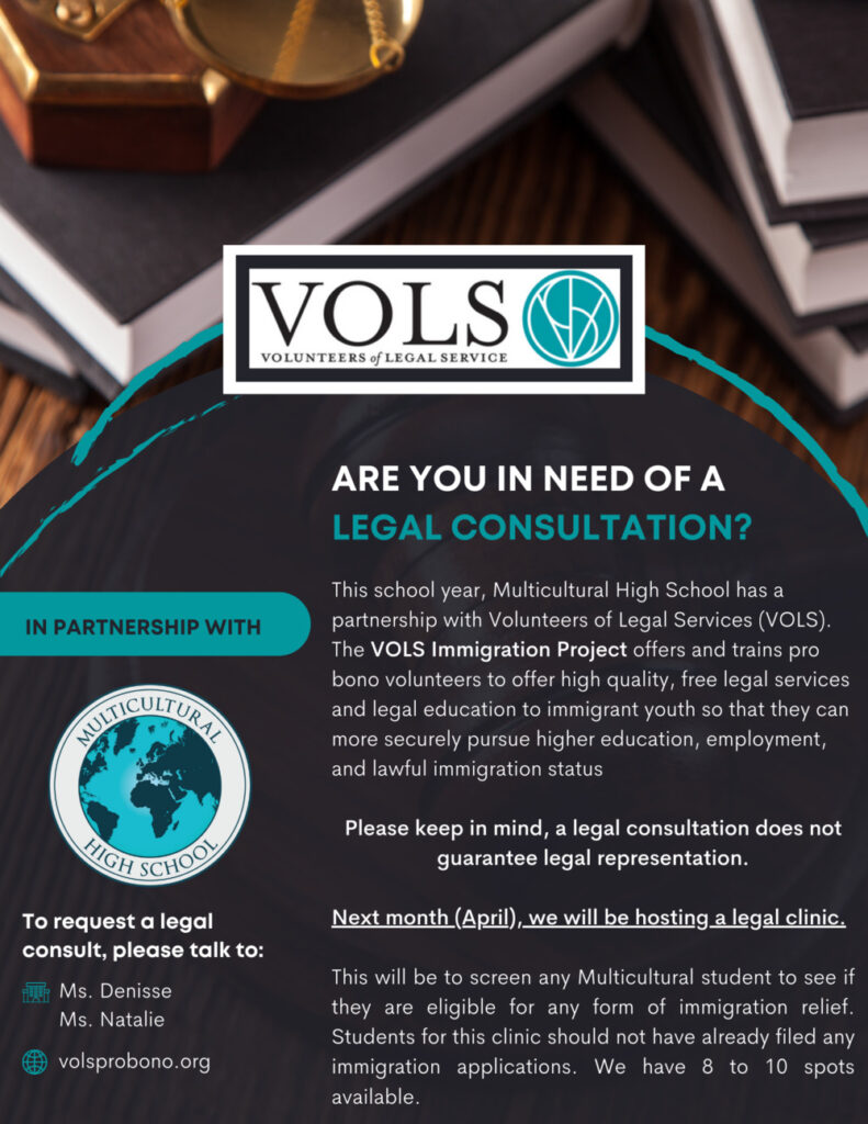 VOLS Legal Consultations (English)