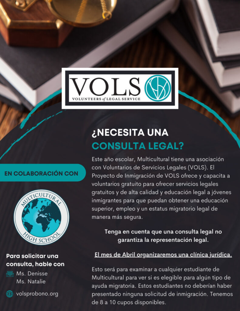 VOLS Legal Consultations (Spanish)